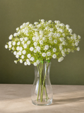 گل عروس (ژیپسوفیلیا) رنگ سفید بوته 7 شاخه مدلgypsophila کد 10
