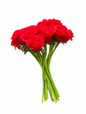 گل رز مصنوعی دسته 10 عددی رنگ قرمز مدل rose کد 58
