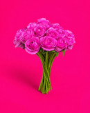 گل مصنوعی رز دسته 10 عددی سرخابی مدل rose