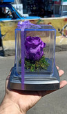 گل رز جاودان تک گل مدل rose کد 101
