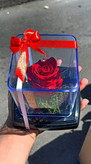 گل رز جاودان تک گل مدل rose کد 103
