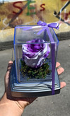 گل رز جاودان تک گل مدل rose کد 104