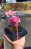 گل رز جاودان تک گل مدل rose کد 106