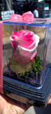 گل رز جاودان تک گل مدل rose کد 106