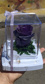 گل رز جاودان تک گل مدل rose کد 109
