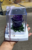 گل رز جاودان تک گل مدل rose کد 109