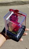 گل رز جاودان دو گل مدل rose کد 204