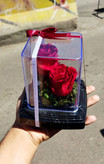 گل رز جاودان دو گل مدل rose کد 204