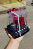 گل رز جاودان دو گل مدل rose کد 204