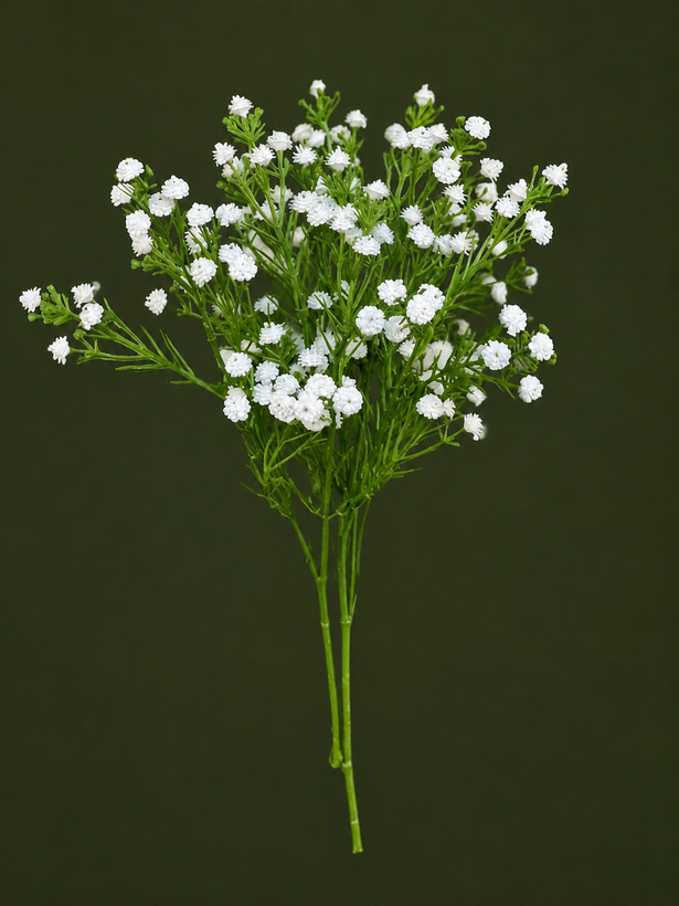 گل عروس (ژیپسوفیلیا) رنگ سفید بوته 7 شاخه مدلgypsophila کد 10