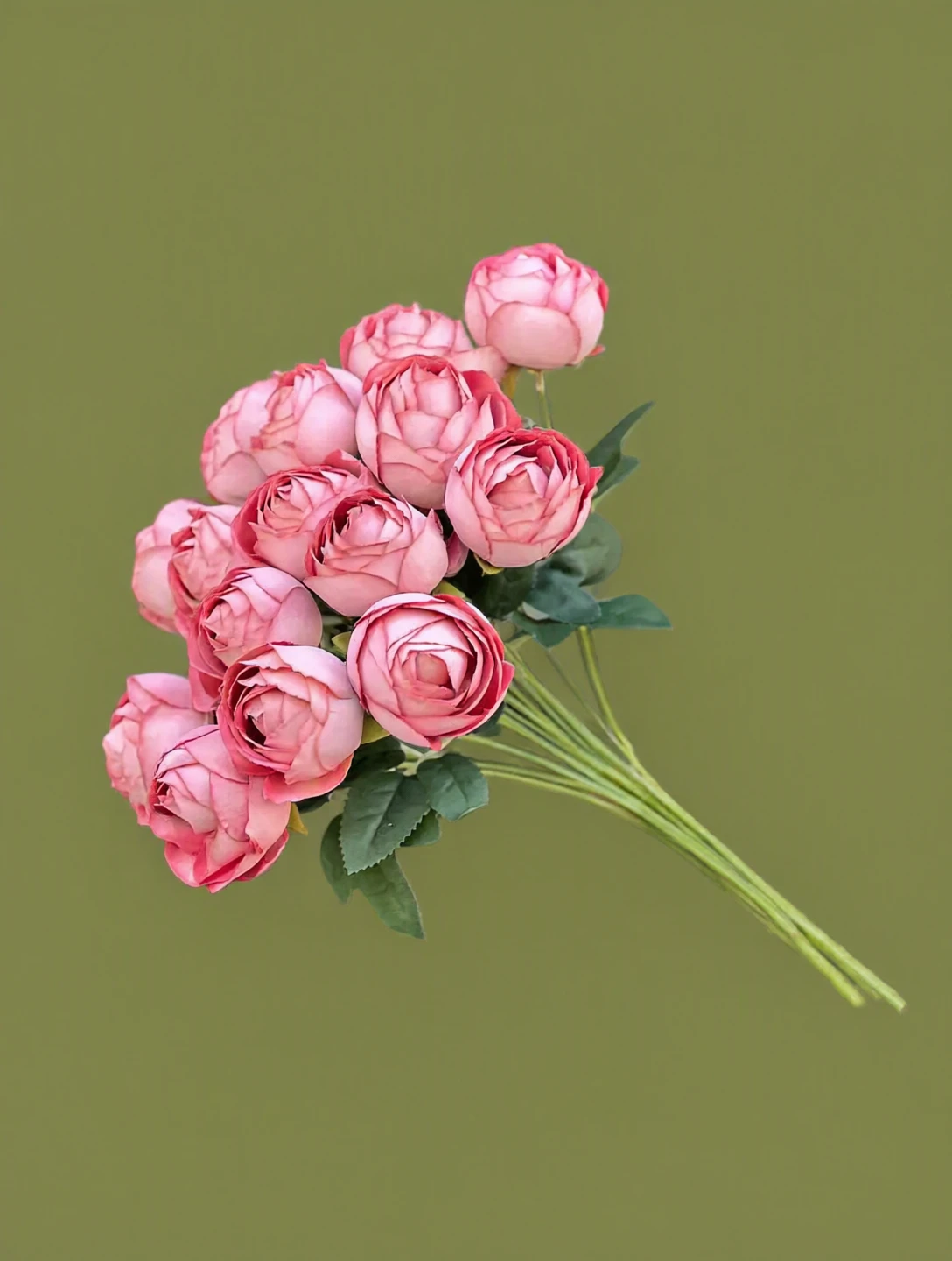 بوته پیونی(انوما) وارداتی 15گل