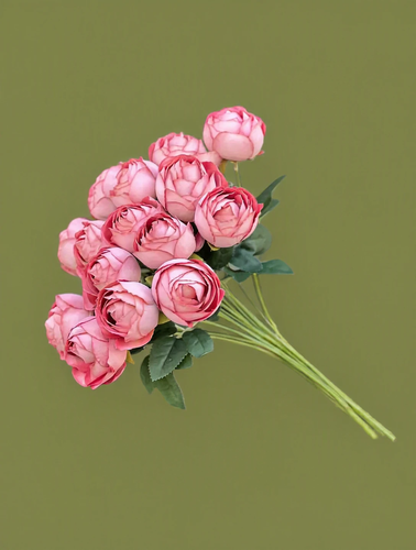 بوته پیونی(انوما) وارداتی 15گل